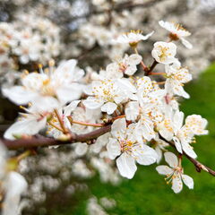 23-03-13 10-52-45 4830